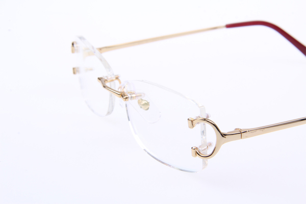 CT 4193826 Eyeglasses In Gold
