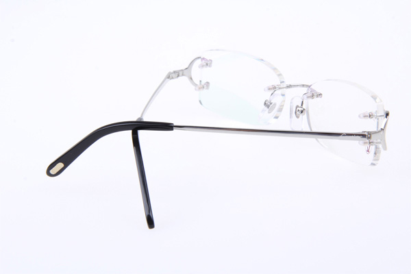 CT 4193826 Eyeglasses In Silver