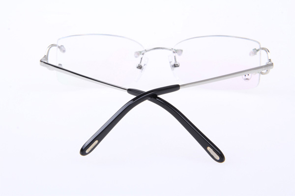 CT 4193826 Eyeglasses In Silver