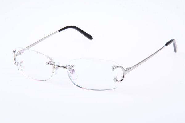 CT 4193826 Eyeglasses In Silver