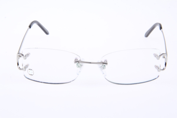 CT 4193826 Eyeglasses In Silver