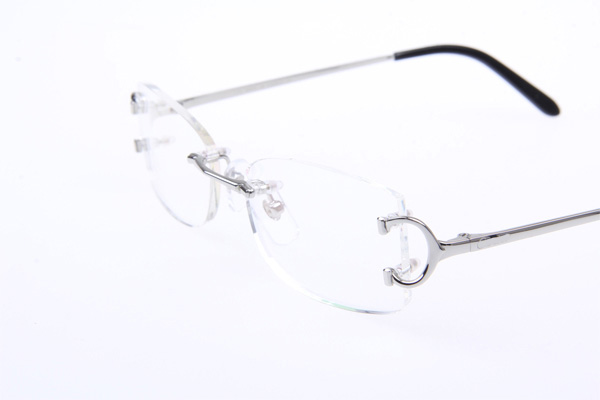 CT 4193826 Eyeglasses In Silver