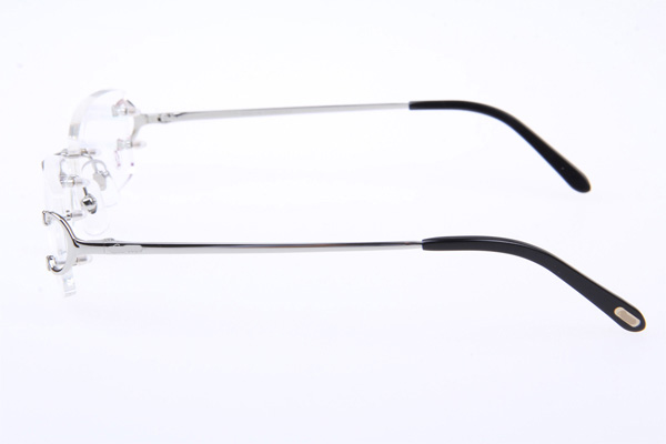 CT 4193826 Eyeglasses In Silver