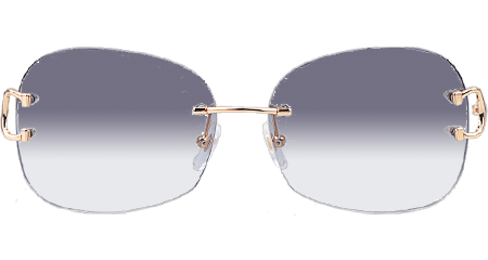 CT 4193829 Sunglasses Gold Gradient Gray