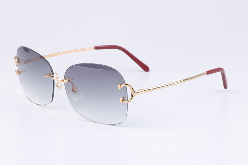 CT 4193829 Sunglasses Gold Gradient Gray