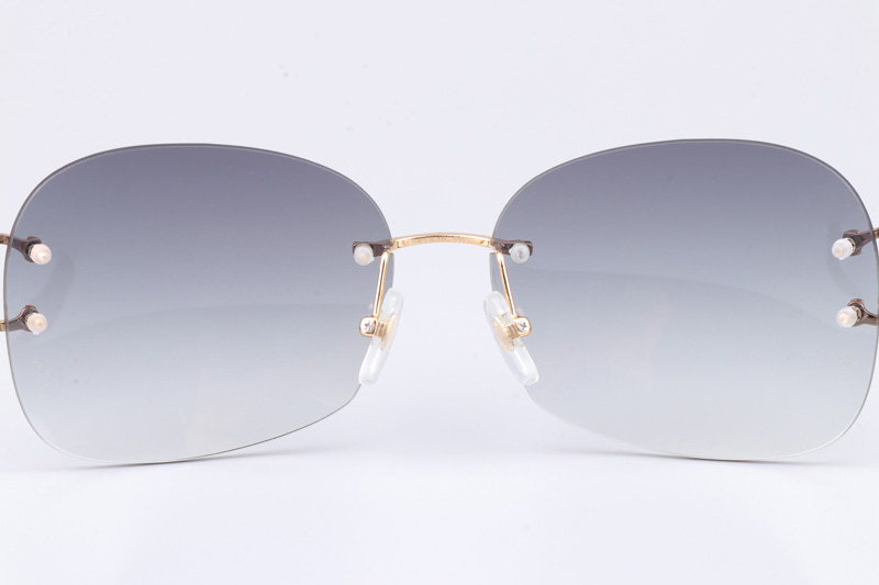 CT 4193829 Sunglasses Gold Gradient Gray