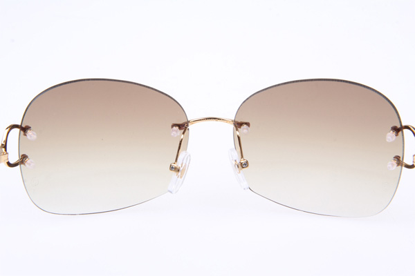 CT 4193829 Sunglasses In Gold Gradient Brown