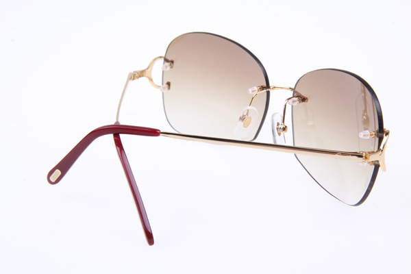 CT 4193829 Sunglasses In Gold Gradient Brown