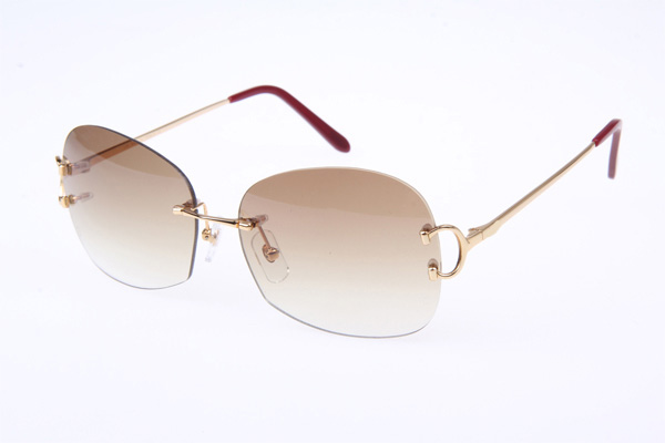 CT 4193829 Sunglasses In Gold Gradient Brown