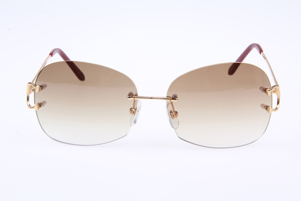 CT 4193829 Sunglasses In Gold Gradient Brown