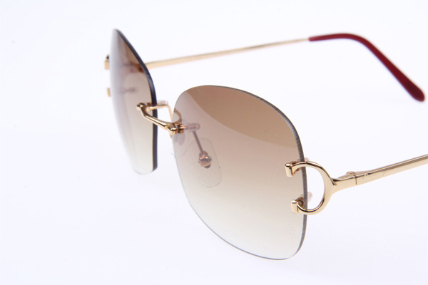 CT 4193829 Sunglasses In Gold Gradient Brown