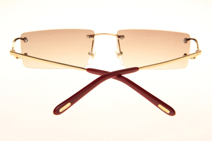 CT 4193830 Sunglasses In Gold Gradient Brown