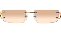 CT 4193830 Sunglasses In Gold Gradient Brown