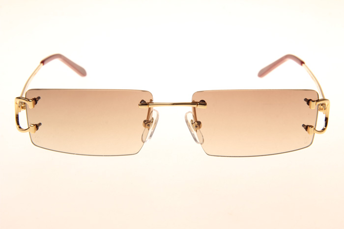 CT 4193830 Sunglasses In Gold Gradient Brown