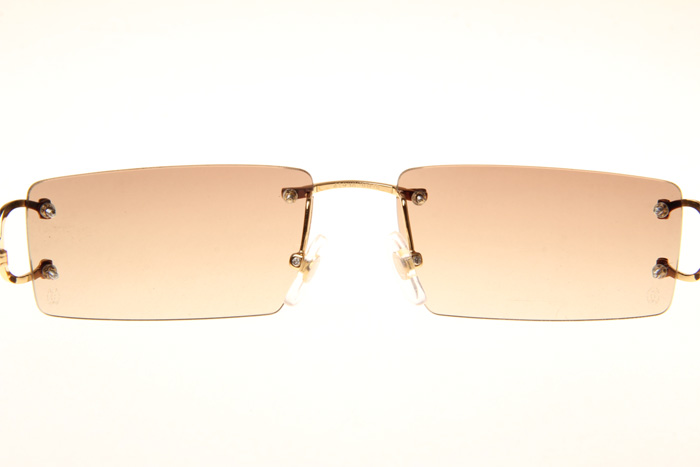 CT 4193830 Sunglasses In Gold Gradient Brown