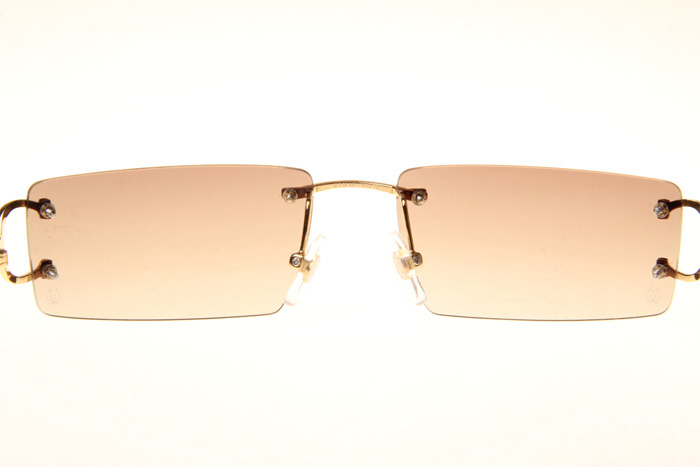 CT 4193830 Sunglasses In Gold Gradient Brown