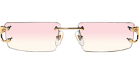 CT 4193830 Sunglasses In Gold Gradient Pink