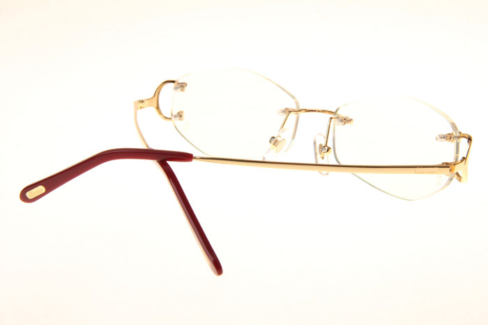 CT 4193831 Eyeglasses In Gold