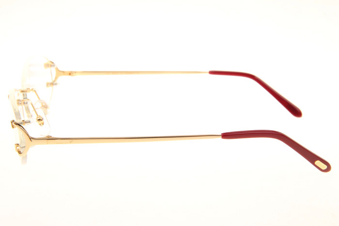 CT 4193831 Eyeglasses In Gold