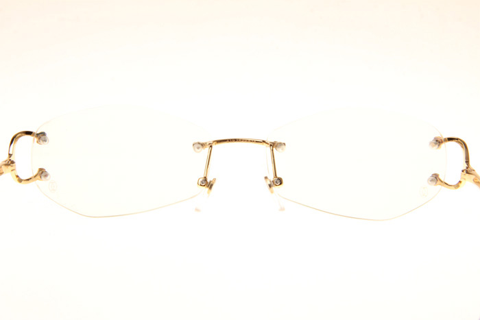 CT 4193831 Eyeglasses In Gold