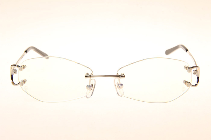 CT 4193831 Eyeglasses In Silver