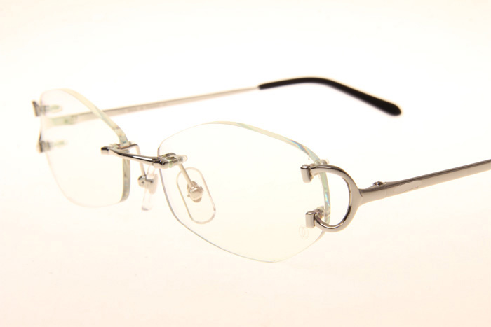 CT 4193831 Eyeglasses In Silver