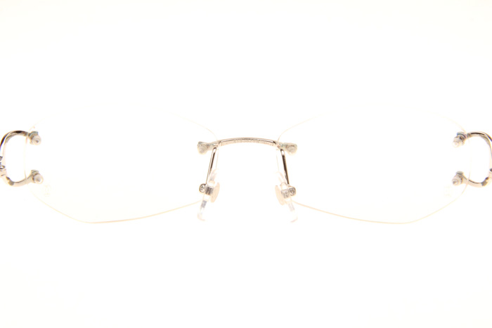 CT 4193831 Eyeglasses In Silver