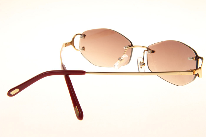CT 4193831 Sunglasses In Gold Gradient Brown