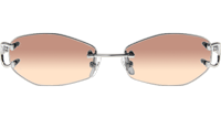 CT 4193831 Sunglasses In Silver Gradient Brown
