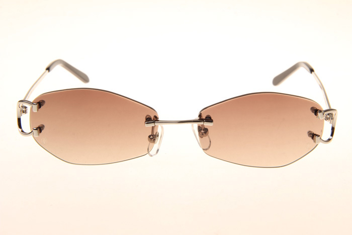 CT 4193831 Sunglasses In Silver Gradient Brown