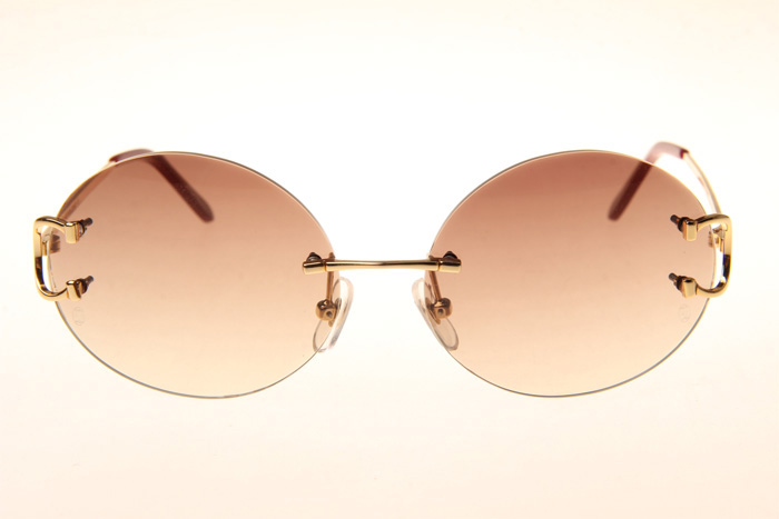 CT 4193832 Sunglasses In Gold Gradient Brown