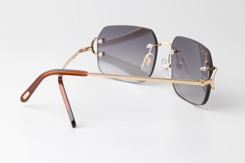 CT 4193833 Sunglasses Gold Gradient Gray