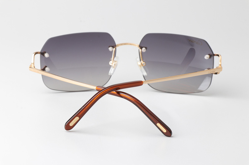 CT 4193833 Sunglasses Gold Gradient Gray