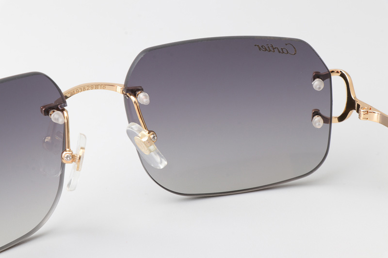 CT 4193833 Sunglasses Gold Gradient Gray