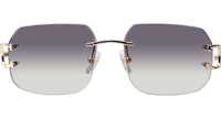 CT 4193833 Sunglasses Gold Gradient Gray