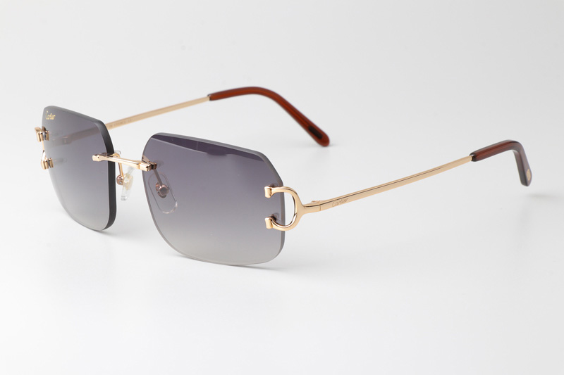 CT 4193833 Sunglasses Gold Gradient Gray