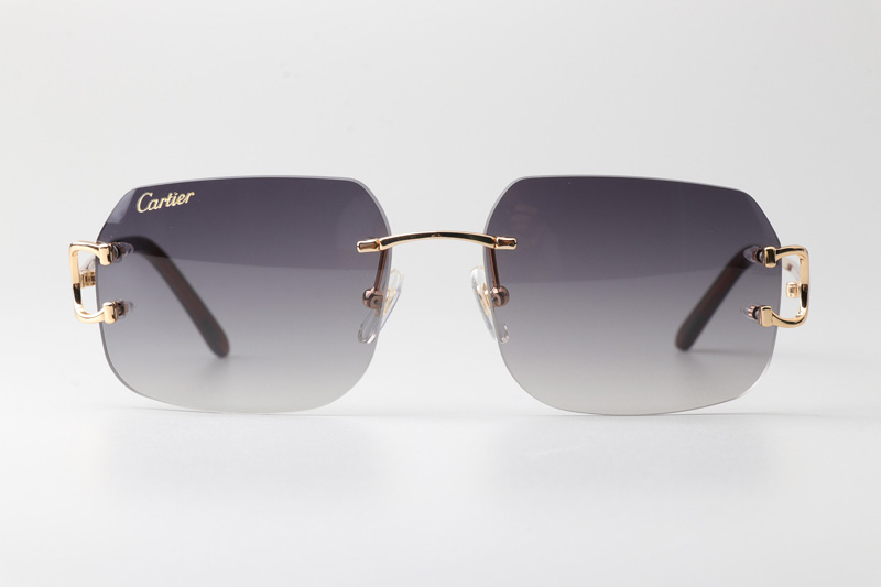 CT 4193833 Sunglasses Gold Gradient Gray