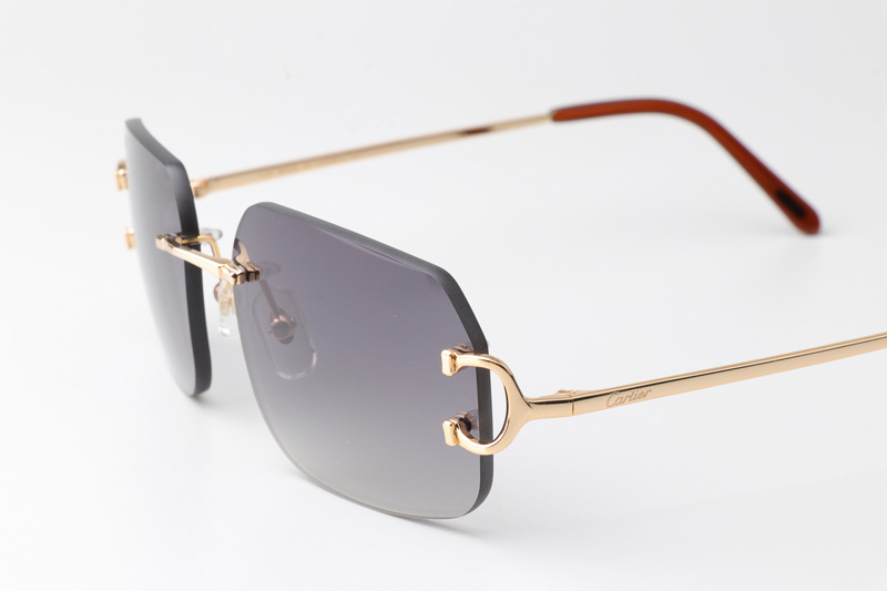 CT 4193833 Sunglasses Gold Gradient Gray