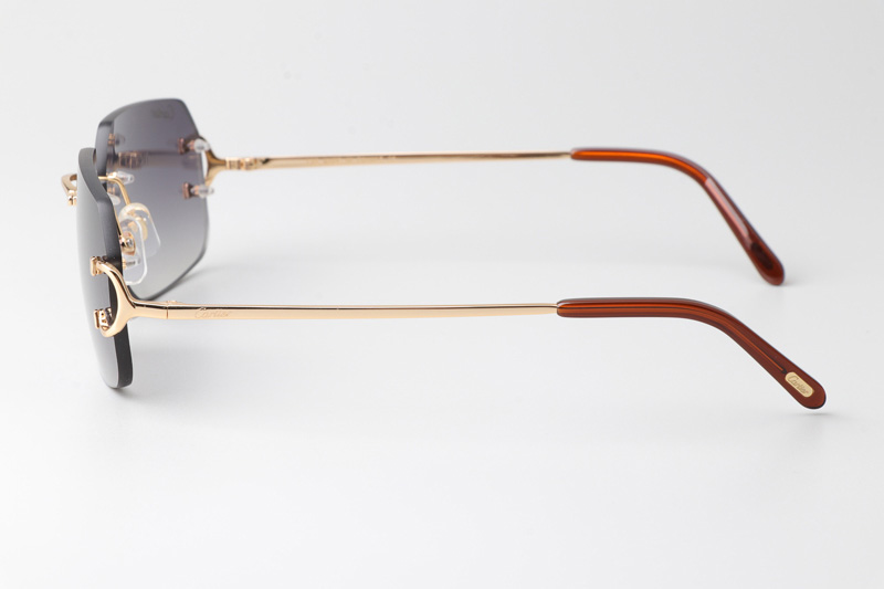 CT 4193833 Sunglasses Gold Gradient Gray