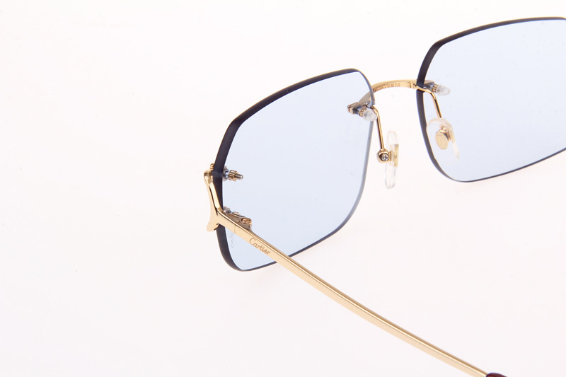 CT 4193833 Sunglasses In Gold Blue