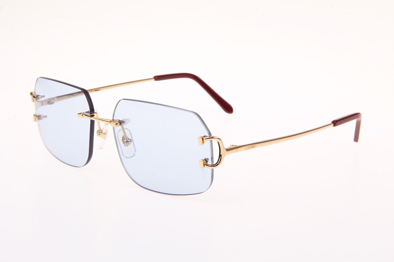 CT 4193833 Sunglasses In Gold Blue