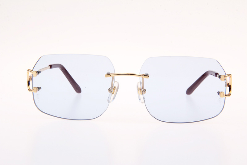 CT 4193833 Sunglasses In Gold Blue