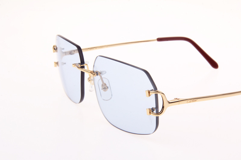 CT 4193833 Sunglasses In Gold Blue