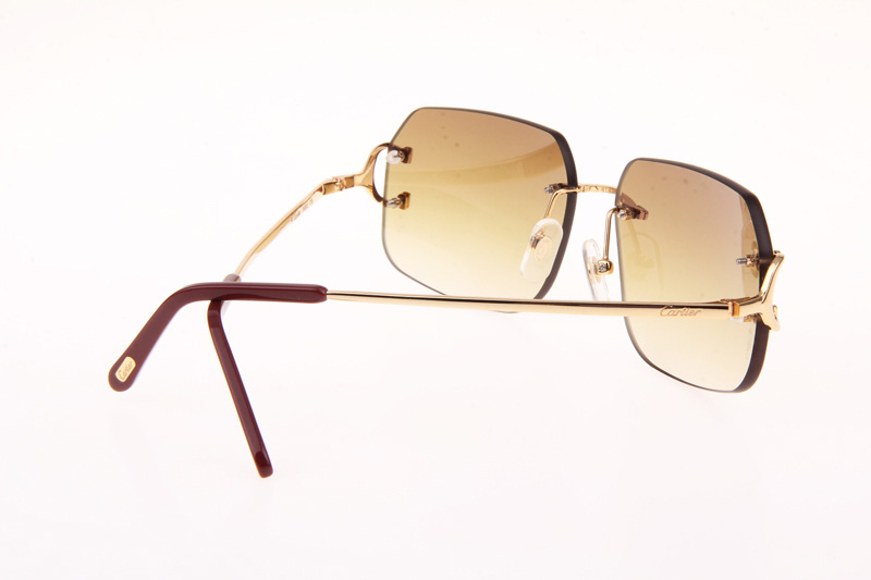 CT 4193833 Sunglasses In Gold Gradient Brown