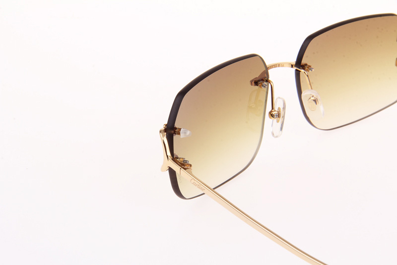 CT 4193833 Sunglasses In Gold Gradient Brown