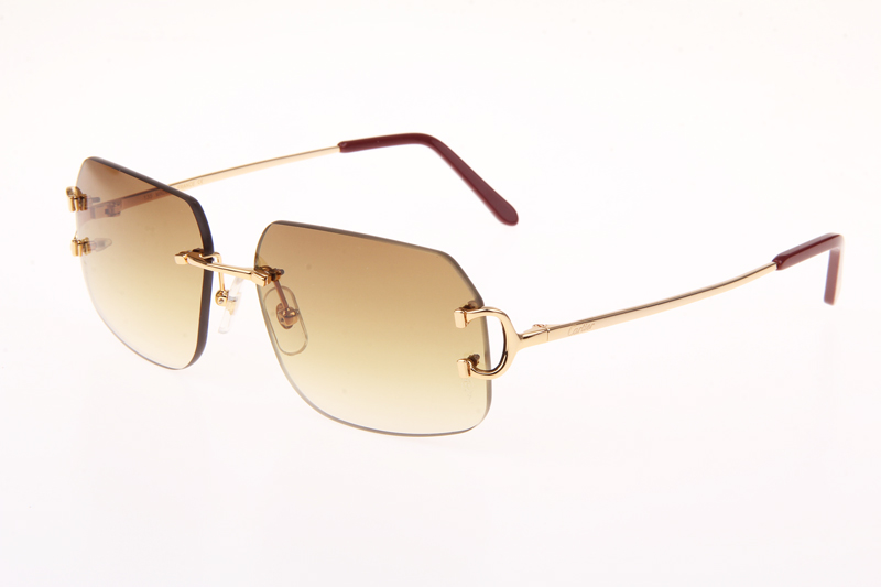 CT 4193833 Sunglasses In Gold Gradient Brown