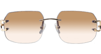 CT 4193833 Sunglasses In Gold Gradient Brown