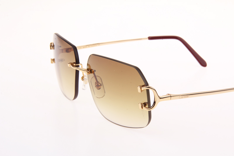 CT 4193833 Sunglasses In Gold Gradient Brown