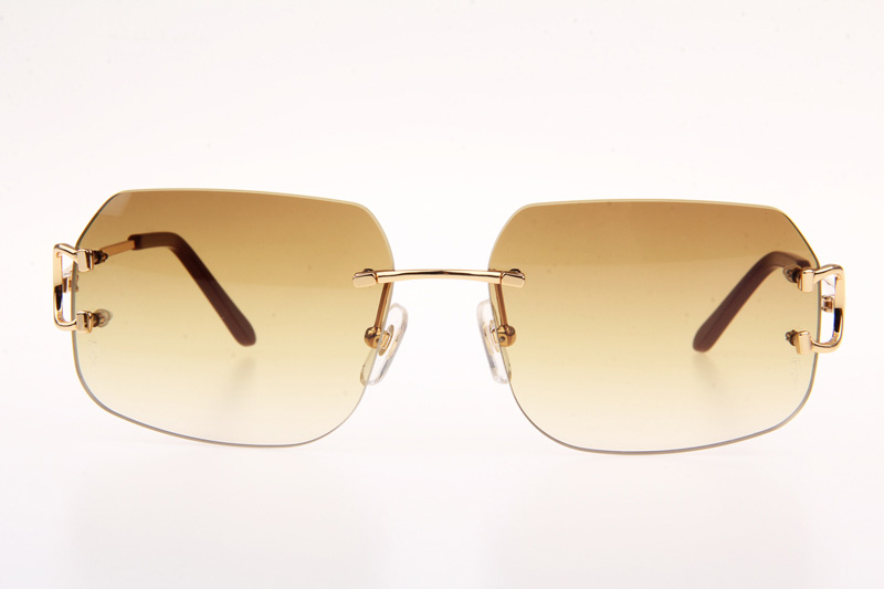 CT 4193833 Sunglasses In Gold Gradient Brown