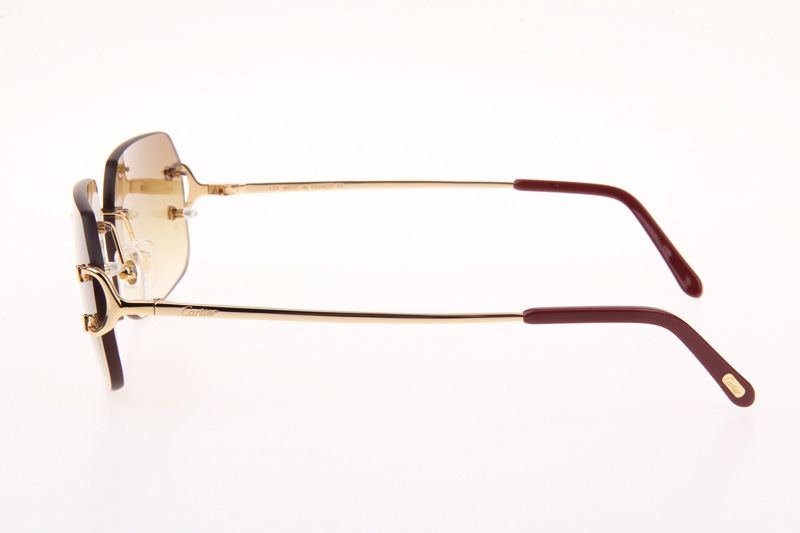 CT 4193833 Sunglasses In Gold Gradient Brown